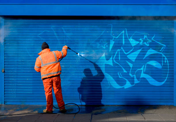 Best Affordable Pressure Washing  in Whitg, IN