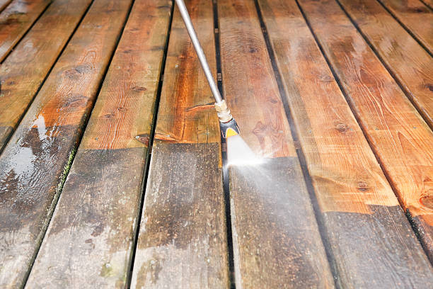 Best Local Pressure Washing Services  in Whitg, IN